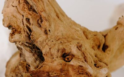 Close-up of a natural wood texture with smooth grain.